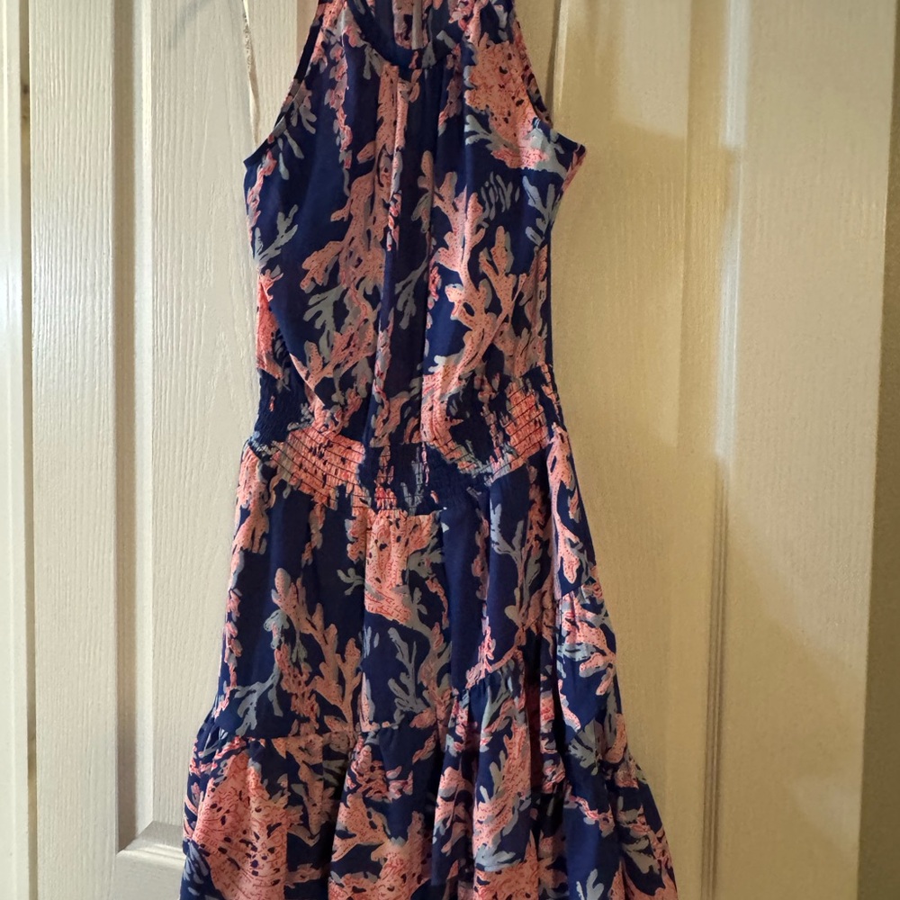 Lilly Pulitzer Pamala Lynn dress